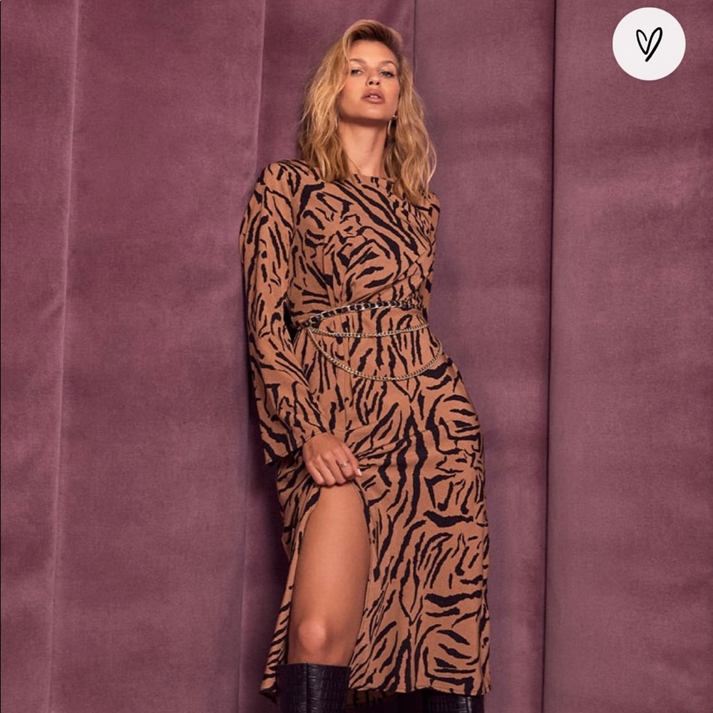 Lulus on the Prowl Black and Brown Tiger Print